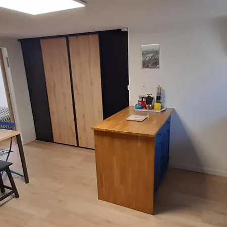 Daire 2 Pieces De Plain-pied Avec Parking Et Jardin Au Calme Antony