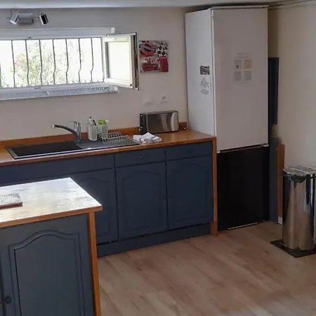 Apartment 2 Pieces De Plain-pied Avec Parking Et Jardin Au Calme Antony